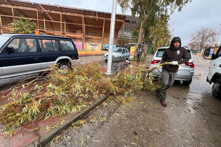 La borrasca causa la caída de ramas y desprendimientos de cornisas en algunos puntos de Ronda