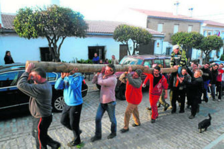 Tradiciones serranas: Pujerra se lía a tiros contra un Judas colgado de un chopo