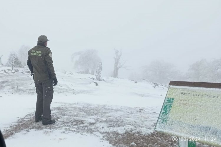 El Parque Nacional Sierra de las Nieves registra la primera nevada del año