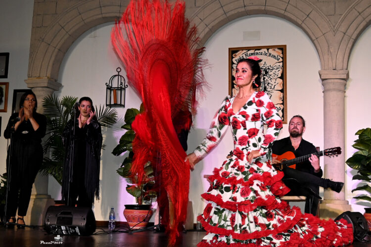 Gran calidad en la primera semifinal del Concurso Internacional de Cante y Baile ‘Aniya la Gitana’