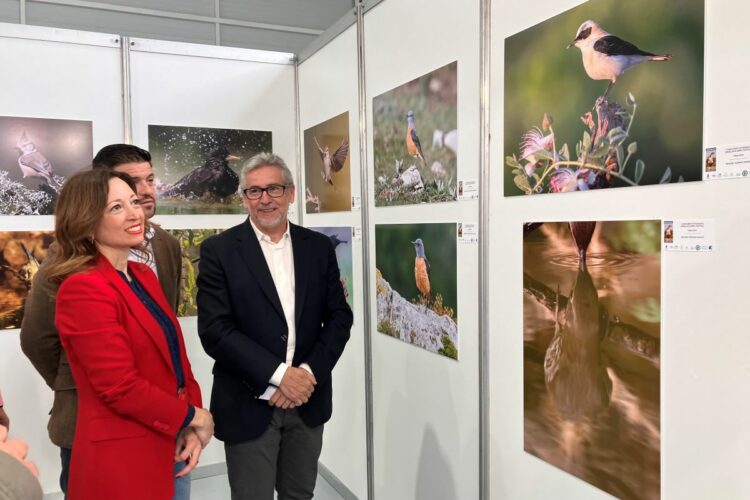 Montejaque acoge durante este fin de semana el certamen ornitológico Andalucía Bird Festival