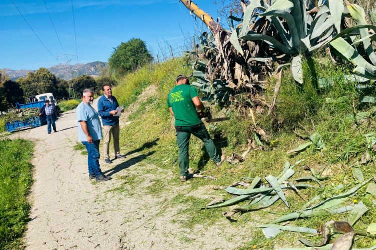 El Ayuntamiento pone en marcha un plan de desbroce en las pedanías rondeñas