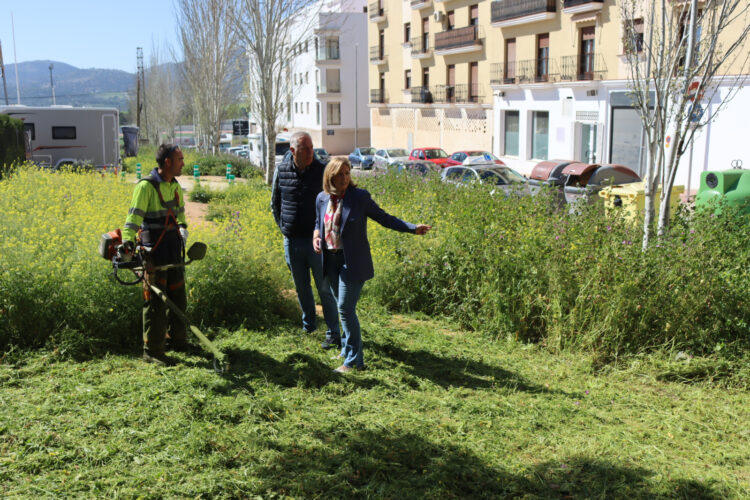 El Ayuntamiento refuerza las labores de desbroce para llegar a todas las barriadas