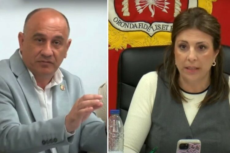 Maripaz Fernández: «señor Cañestro, por mucho que se empeñe no se va a cortar el Puente Nuevo»