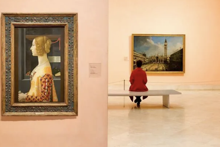 Cómo las Visitas a los Museos Pueden Transformar tu Sentido Estético