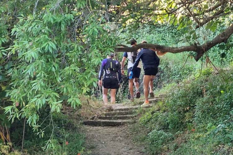 Cuevas del Becerro acoge del 25 al 27 de septiembre las I Jornadas de Turismo Rural