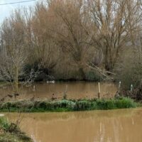 Las lluvias ya han dejado más de 700 litros de agua en Ronda en lo que va de año hidrológico