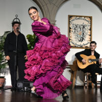 Arranca la XXIX edición del Concurso Nacional e Internacional de Cante y Baile ‘Aniya la Gitana’
