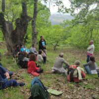 Bosques y salud en los castañares de Pujerra