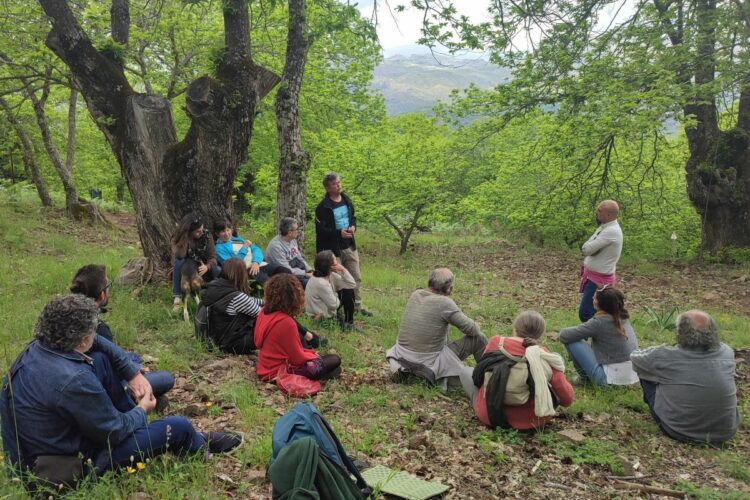 Bosques y salud en los castañares de Pujerra