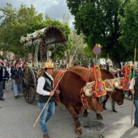 Cientos de romeros acompañan un año más a la Virgen de la Cabeza hasta su ermita