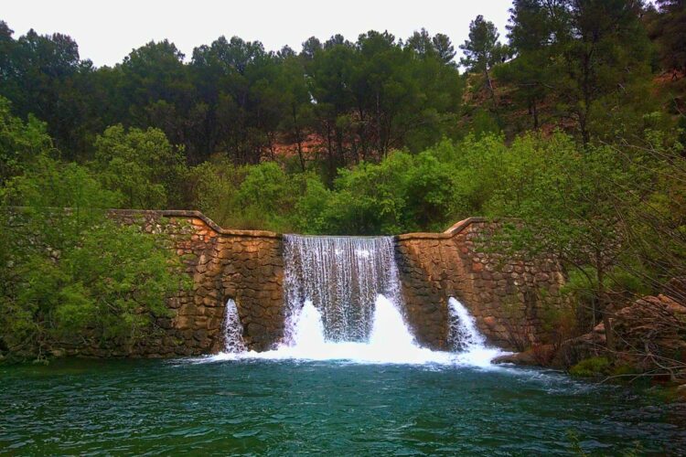 El Parque Nacional Sierra de las Nieves entrega los premios del XV Concurso de Fotografía