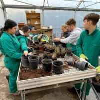 Educación implantará un ciclo de Agro-jardinería en el instituto Valle del Genal en sustitución del de Albañilería