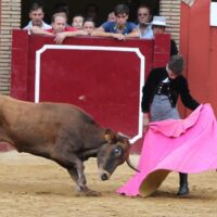 La plaza de Cortes de la Frontera acogerá en octubre el El III Circuito de Escuelas Taurinas