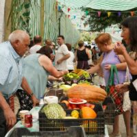 Gran ambiente en la VIII edición de la Fiesta de los Huertos de Benalauría y Cortes de la Frontera