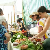 Benalauría y Cortes de la Frontera se preparan para vivir un año más la Fiesta de los Huertos