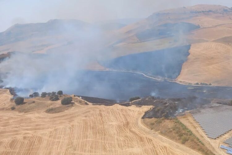 El Infoca trabaja para sofocar un incendio que se ha declarado este lunes en el término de Ronda