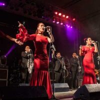 Raya Real y Demarco Flamenco se suman a los conciertos de la Feria de Pedro Romero
