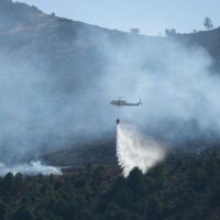 Controlado el incendio forestal declarado de madrugada en Parauta