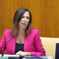 La Junta estudia las 22 ofertas presentadas para el primer tramo de la autovía Ronda-Málaga