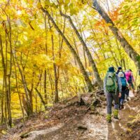 Arriate y Gaucín se incorporan a la Red de Pueblos Mágicos de España