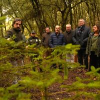 Las comunidades de Andalucía y de Aragón suman esfuerzos para proteger el pinsapo con un protocolo pionero