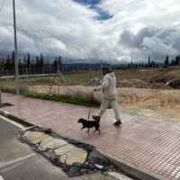 Mercadona pide la licencia de obras para situar su nuevo supermercado en San Rafael