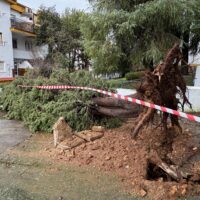 La borrasca deja más de 80 incidencias en Ronda, aunque de poca importancia
