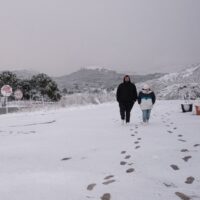 La nieve y el frío de apoderan de los parajes de la Serranía de Ronda