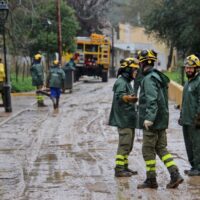 Los daños causados por el temporal en la agricultura de la Serranía superan los 24 millones de euros
