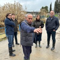 Los daños causados por el temporal en el término de Ronda alcanzan el millón de euros