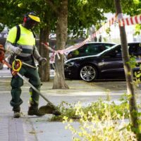 Soliarsa inicia los trabajos de desbroce en las calles rondeñas