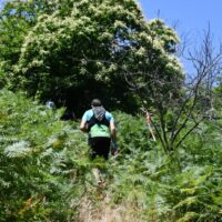 Benalauría amplía su red de senderos por el Valle del Genal