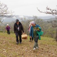 Cartajima celebró la VI edición de las Jornadas Micológicas de Primavera con medio centenar de participantes