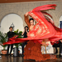 Arranca el XXX Concurso Internacional de Cante y Baile «Aniya la Gitana» de Ronda