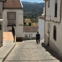 Ronda licita por más de 587.000 euros la reurbanización integral de la calle Albahaca