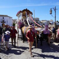 La Hermandad del Rocío de Ronda inicia su camino rumbo a la aldea almonteña