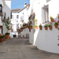 Cartajima, crea un plan de infraestructura verde para combatir el calor y recuperar espacios urbanos